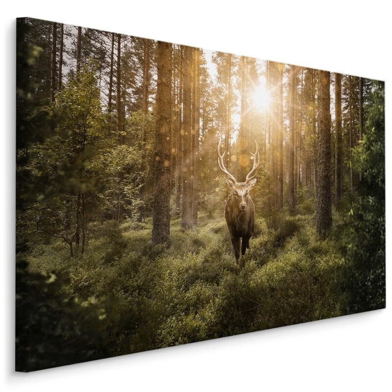 Alpen Home Leinwandbild Hirsch Im Sonnigen Wald Wayfair De